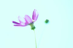秋色の夢　①。。。！