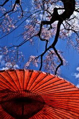 本日快晴なり。。。！