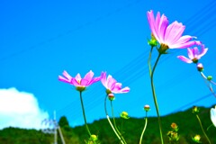 思秋期 ⑤。。。! 思秋期 ⑤。。。!