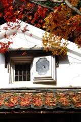 紅葉と美の風景　③。。。！
