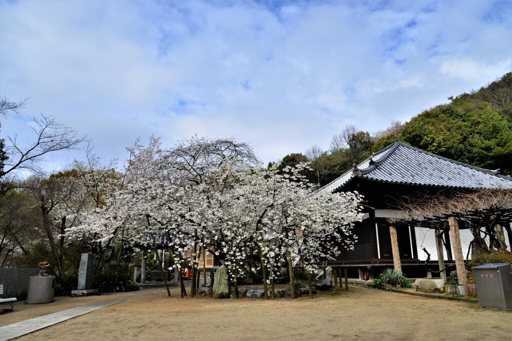 年に一度の逢瀬　①。。。！