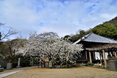 年に一度の逢瀬　①。。。！
