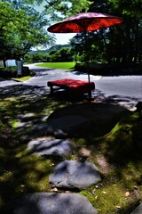 深緑が目に染みる　④。。。！