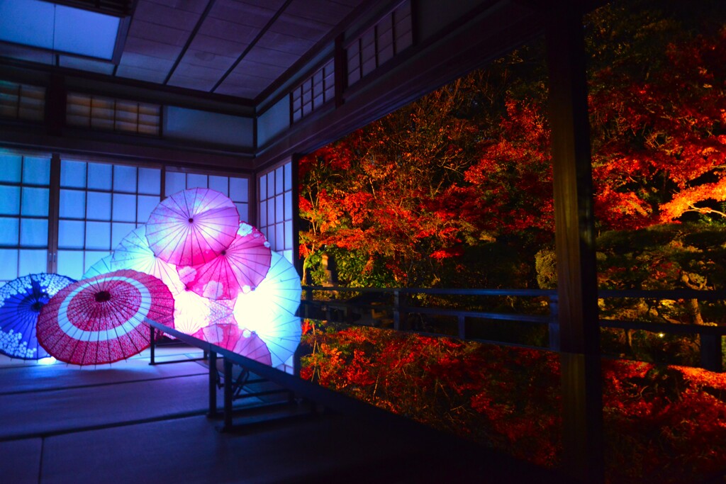 燃ゆる秋の夜　。。。！