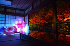 燃ゆる秋の夜　。。。！