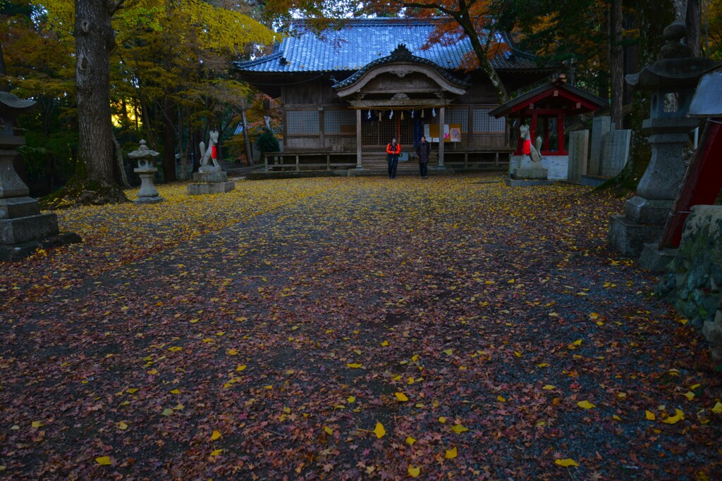淋しい秋の終わり　①。。。！