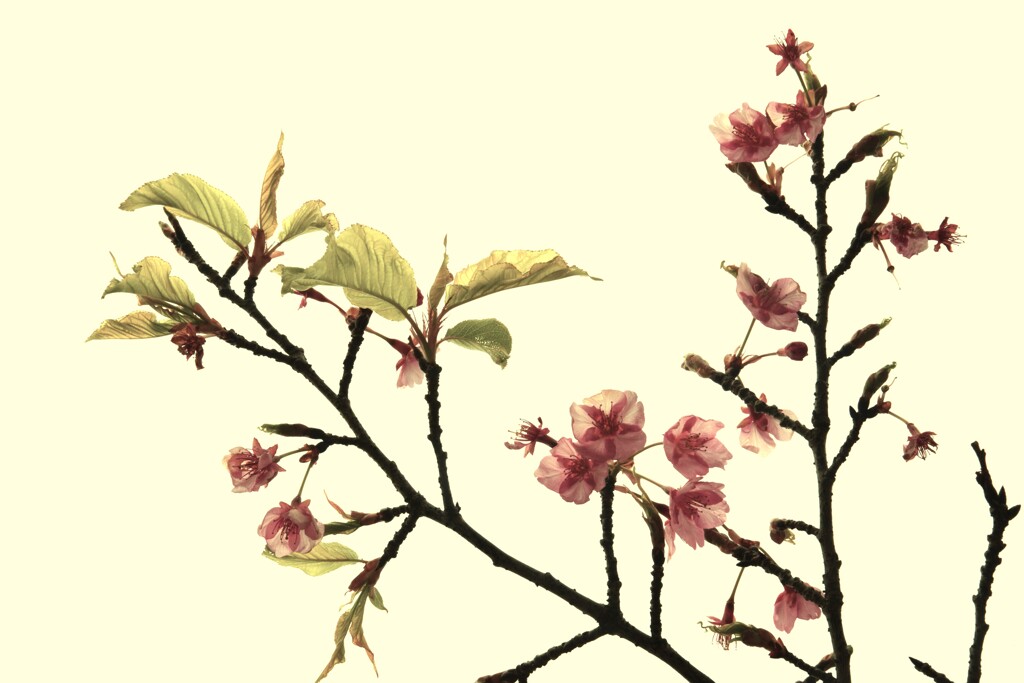 温もりに包まれて　➁。。。！