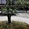 静寂の中で　➁。。。！