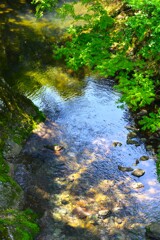 小田川のせせらぎ　①。。。！