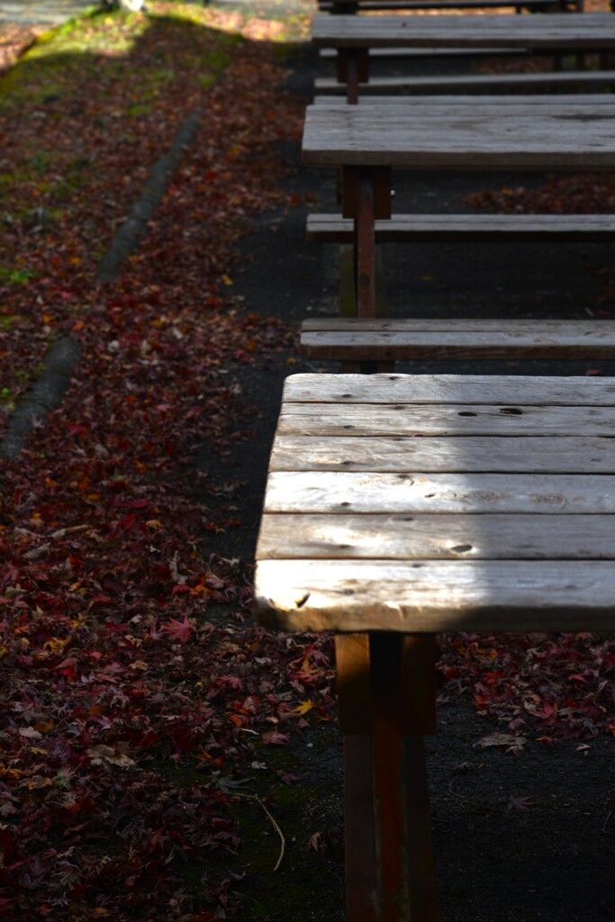last　autumn　①。。。！
