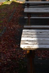 last　autumn　①。。。！