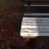 last　autumn　①。。。！