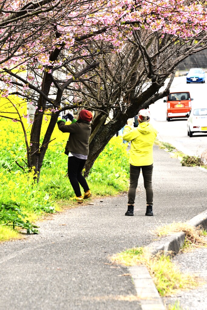 春ロードを走る　➁。。。！