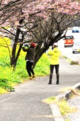 春ロードを走る　➁。。。！