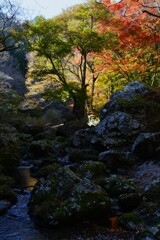 金色の小田深山　➂。。。！