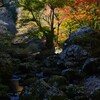 金色の小田深山　➂。。。！