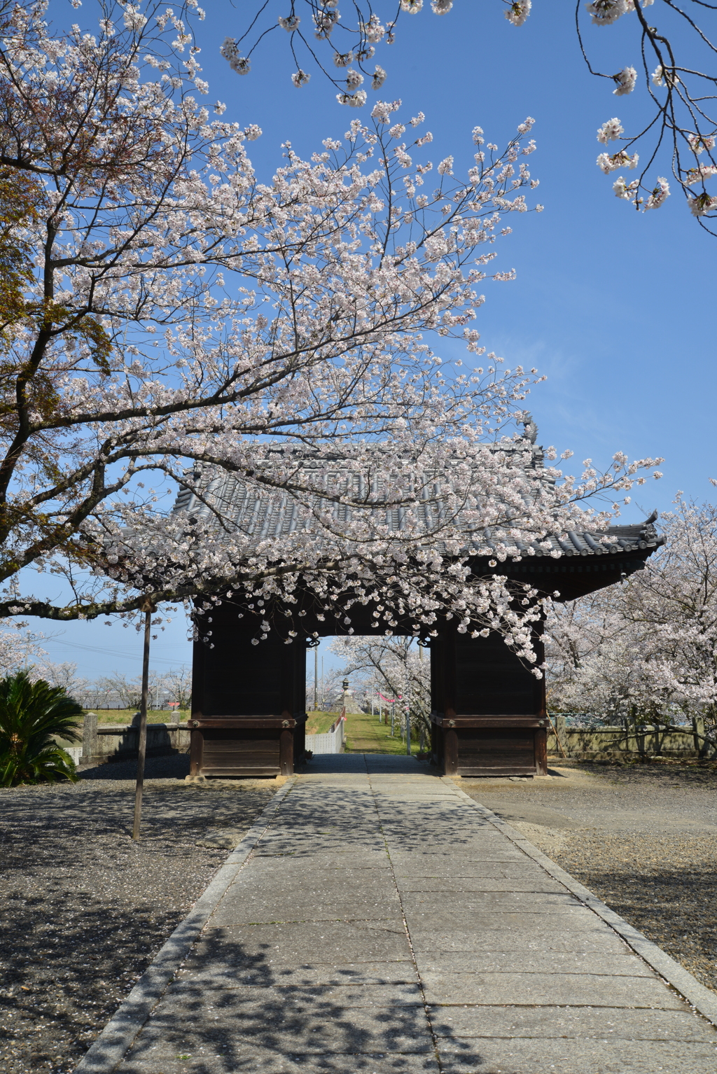 久妙寺．．贈る言葉　⑦。。。！
