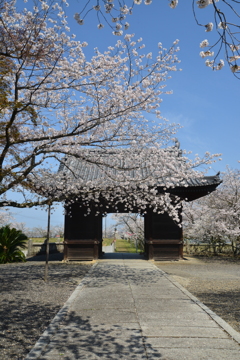 久妙寺．．贈る言葉　⑦。。。！