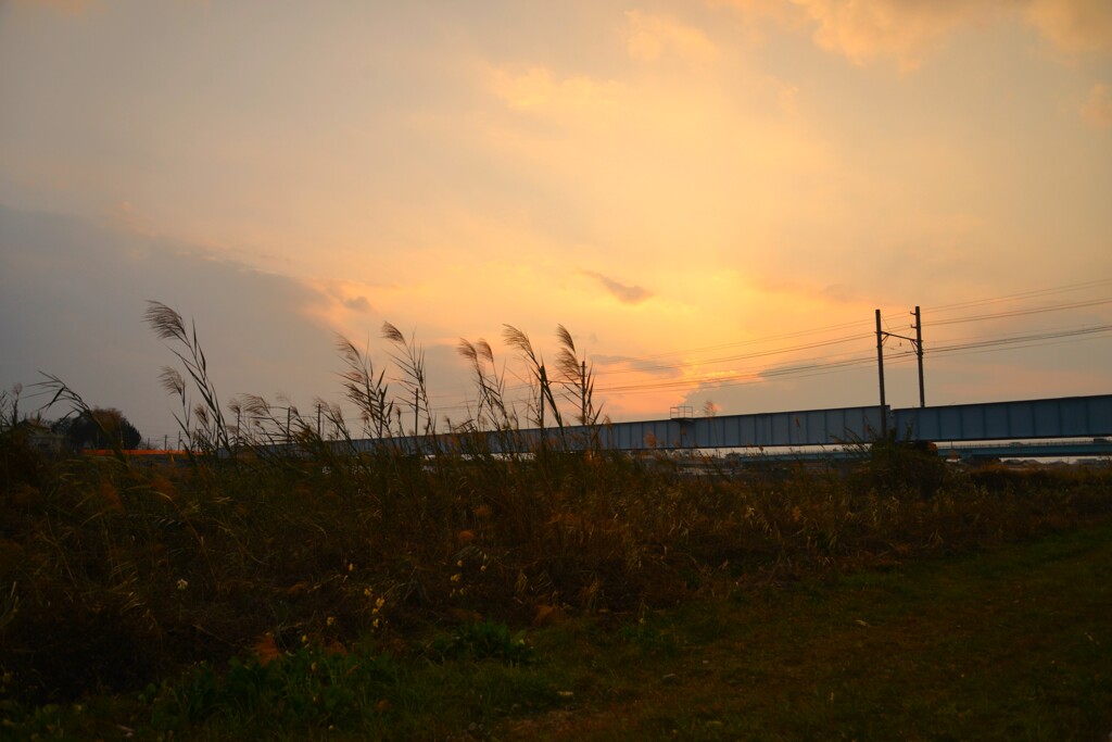 冬枯れの河原　➂。。。！