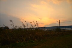 冬枯れの河原　➂。。。！