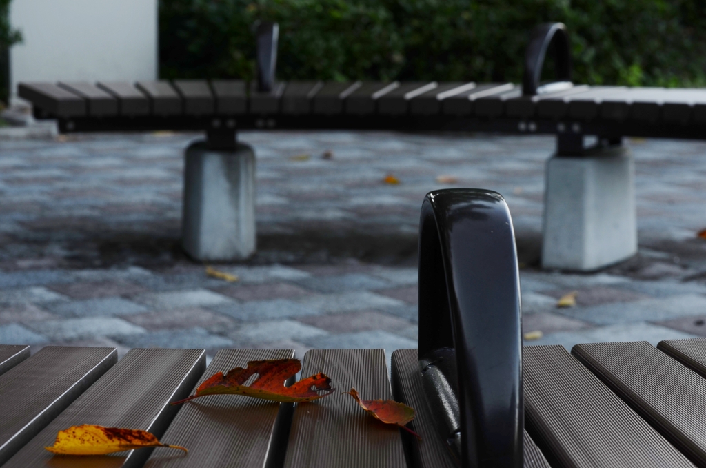 秋を告げる足音　⑦　。。。！