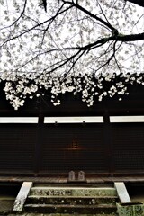 年に一度の逢瀬　②。。。！