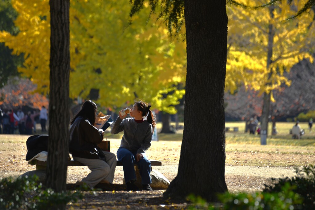 秋の日はなかよし　⑤。。。！