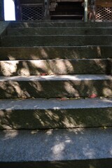 太山寺．．念じて歩む。。。！