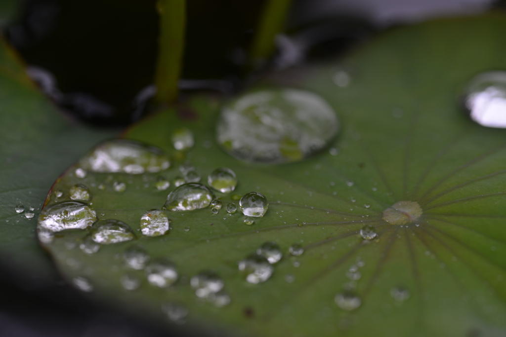 雨粒メロディー　②。。。！