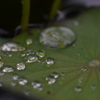 雨粒メロディー　②。。。！