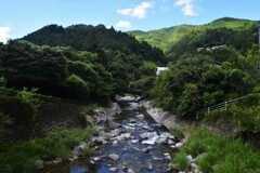 山里の夏　③。。。！