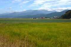秋日和　①。。。！