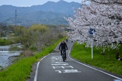 春風を友に　①。。。！