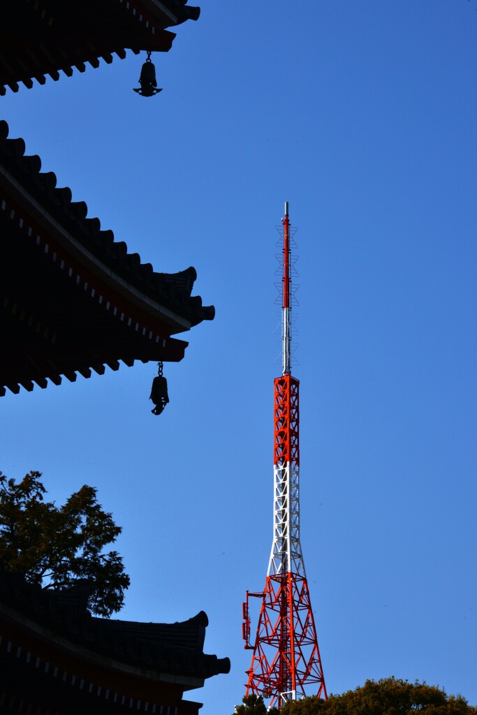 春日和の竹林寺　④。。。！