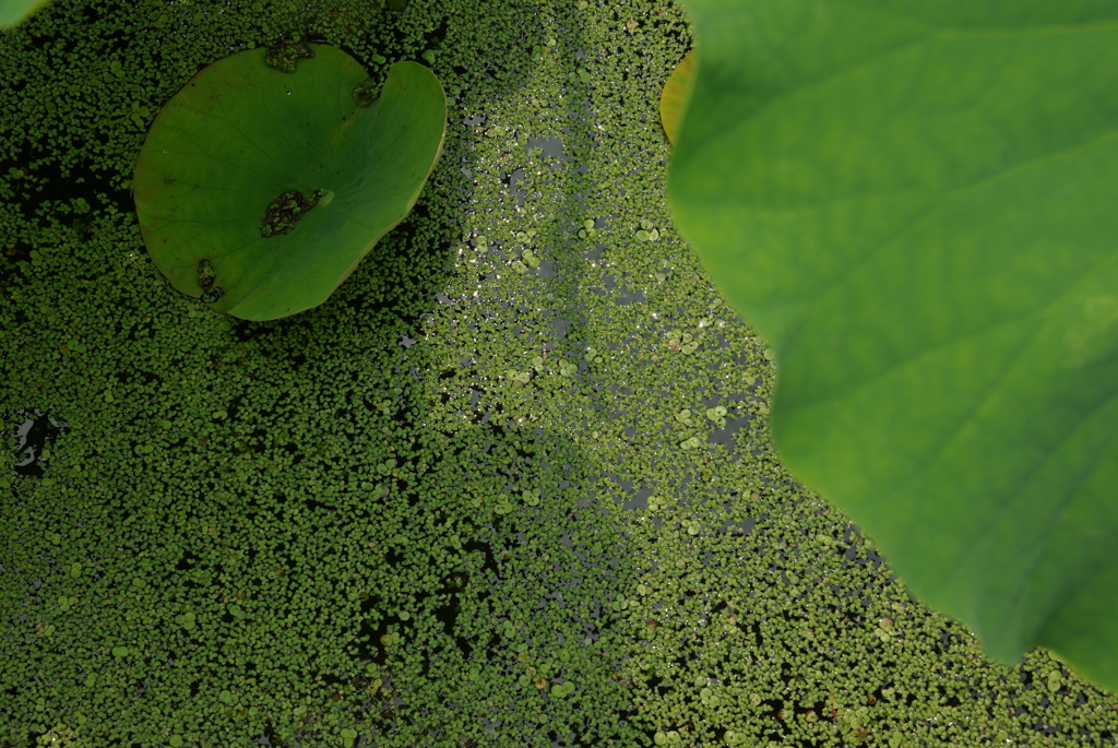 初夏の、あったかい光と涼しい風。。。！