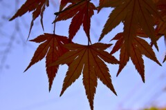 red　&　yellow。。。！