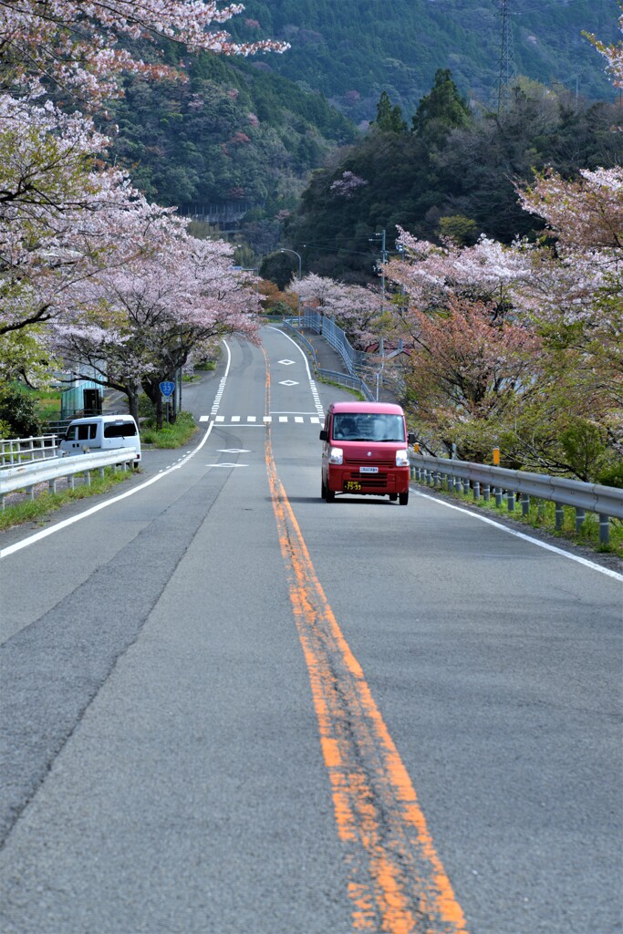 Sakura   Highway　①。。。！