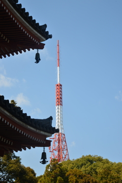 五重塔とテレビ塔。。。！