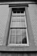 Monochrome Worid ②。。。！
