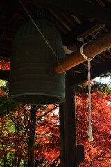 深秋の大宝寺　⑤。。。！