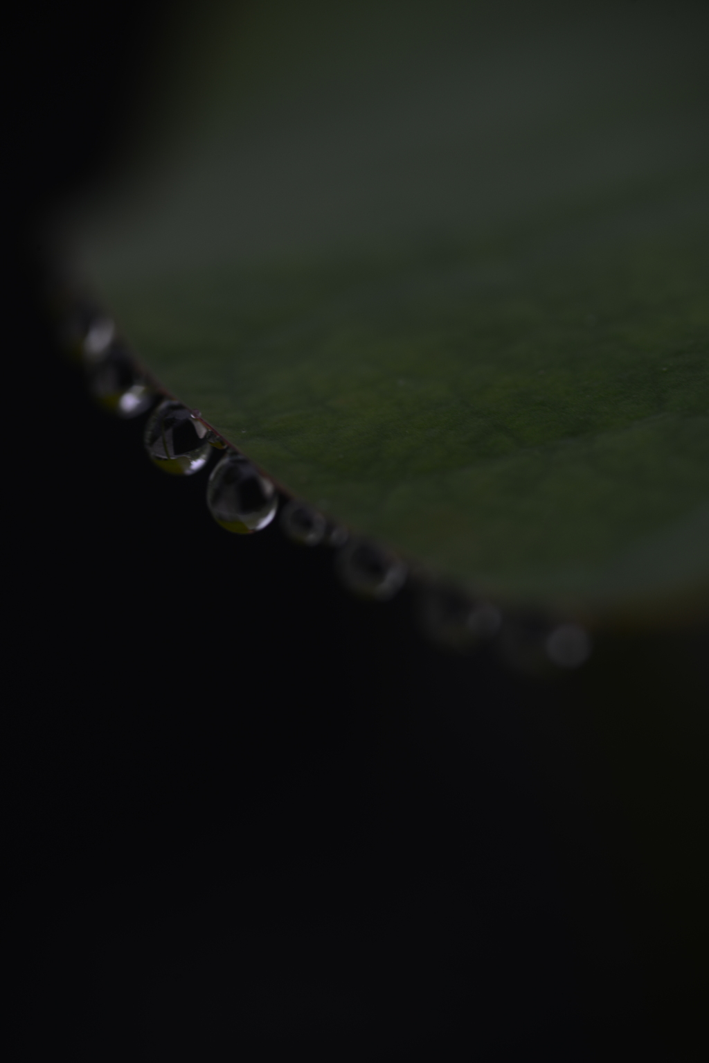 雨粒メロディー　⑥。。。！