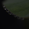 雨粒メロディー　⑥。。。！