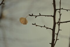 一夜の夢　➂。。。！