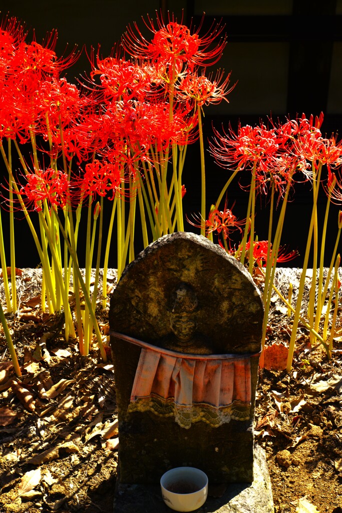 念じれば花開く。。。！