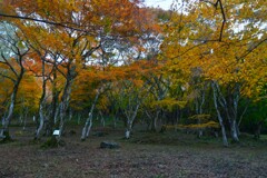 秋止符　。。。！