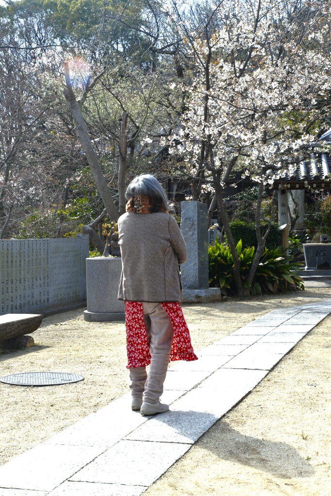 うば桜．．愛しい想い　①。。。！