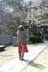 うば桜．．愛しい想い　①。。。！