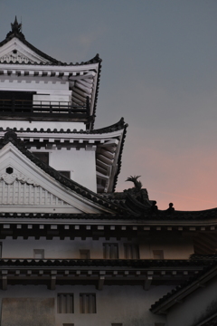 金色のお堀と高知城　④。。。！