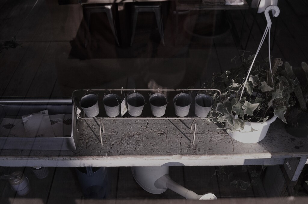 朝日に映える。。。！