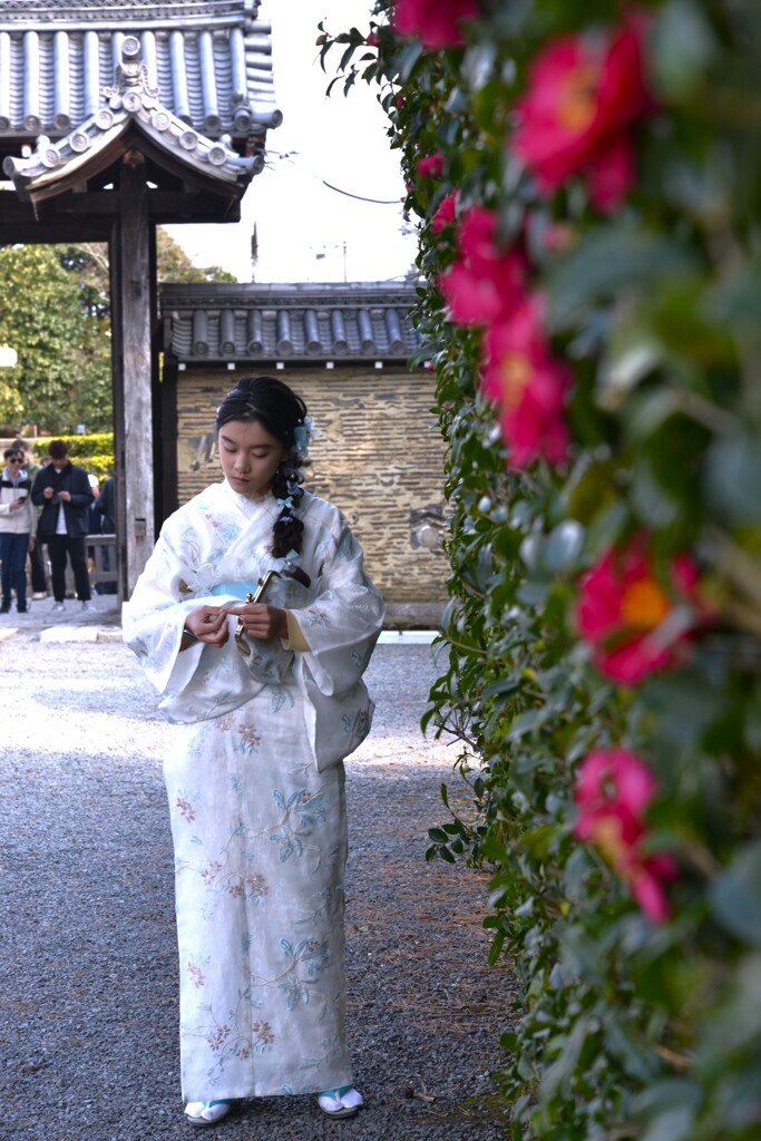 紅椿と少女　。。。！